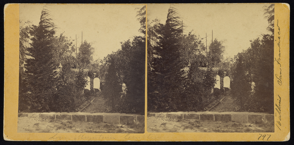 Watkins #797 - Lone Mountain Cemetery