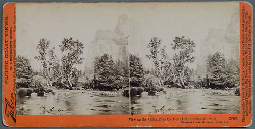 #1002 - View up the Valley, from the foot of the Coulterville Trail, Yosemite Valley, Mariposa County, Cal.