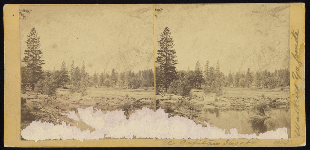 Watkins #1019 - El Capitan, 3600 feet