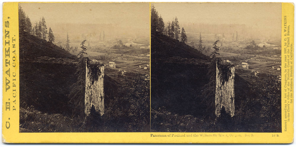 Watkins #1209 - Panorama of Portland and the Willamette River, Oregon #9