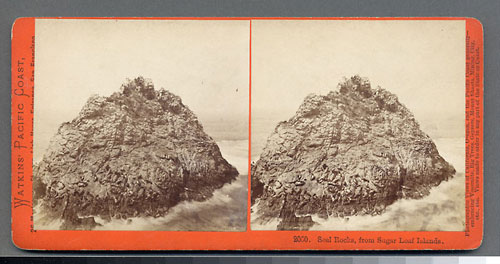#2060 - Seal Rocks, from Sugar Loaf Islands