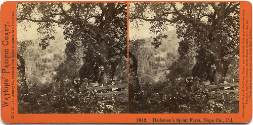#2342 - Hademon's Spout Farm, Napa Co., Cal.