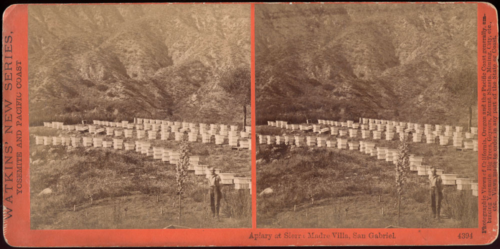 Watkins #4394 - Apiary at Sierra Madre Villa, San Gabriel, Cal.