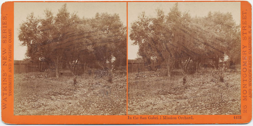 Watkins #4452 - In the San Gabriel Mission Orchard, Cal.