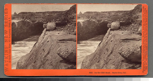 #5031 - On the Cliff Road, Santa Cruz, Cal.