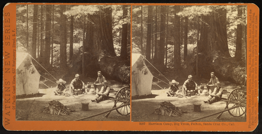 Watkins #5007 - Harrison Camp, Big Trees, Felton