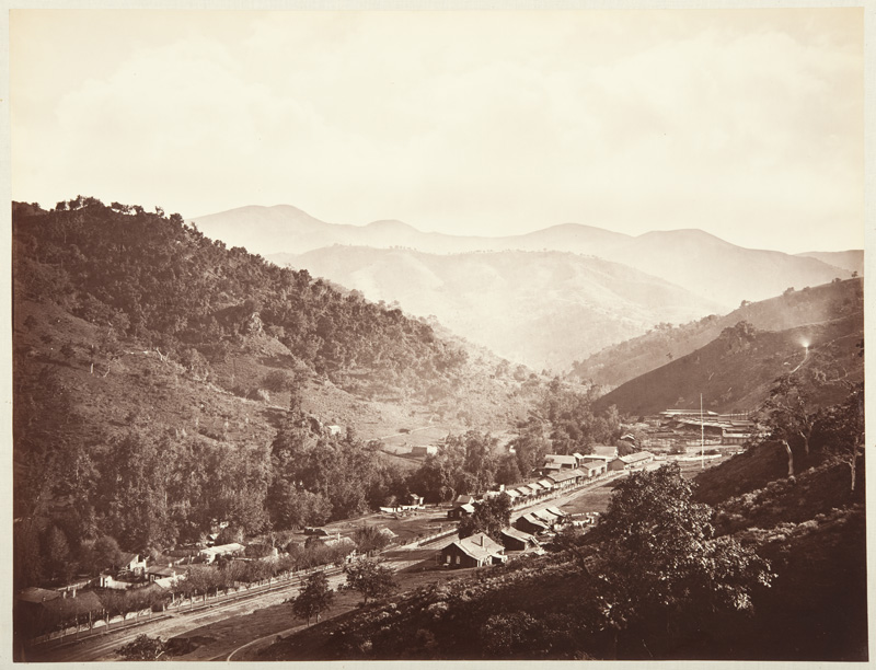 Watkins #123 - Street View at the Hacienda, New Almaden