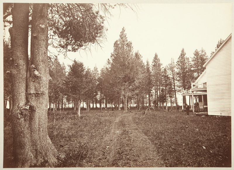 Watkins #1010 - Larch Grove, Tallac House, Lake Tahoe, El Dorado County