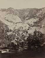 466 - Geyser Canyon from the Hotel, The Geysers, Sonoma County