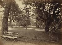 6 - Hotel Del Monte, Lawn View, Monterey