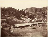 140 - Metal Shed (Planella), New Almaden