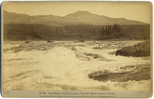 #D 164 - The Rapids, Upper Cascades, Columbia River Scenery, Oregon.