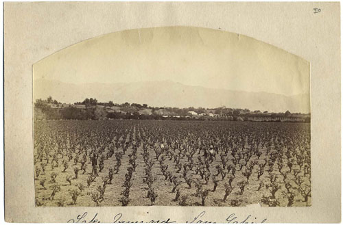 Unnumbered View - Lake Vinyard, San Gabriel