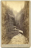 D. 7. - Oneonta Gorge, Columbia River Scenery O.