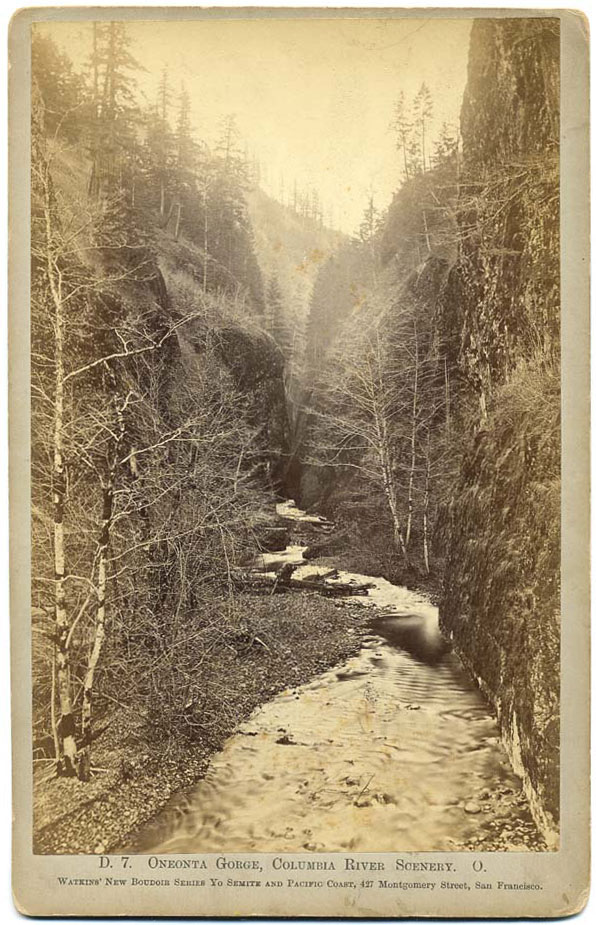 Watkins #D. 7. - Oneonta Gorge, Columbia River Scenery O.