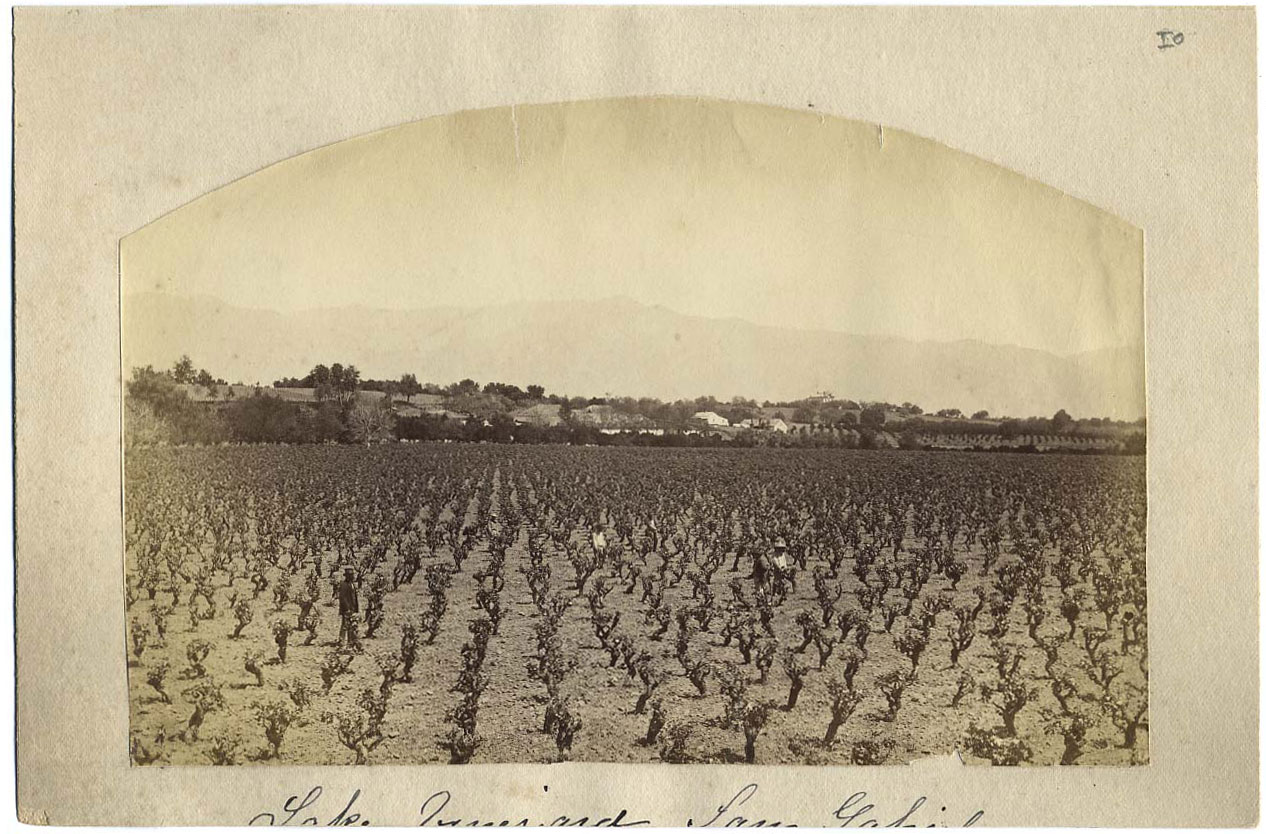 Watkins Unnumbered View - Lake Vinyard, San Gabriel