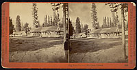 826 - Big Tree Station, Mariposa Grove