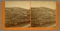1388 - Residence of W.C. Ralston, Belmont