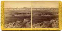 1556 - View in Shasta Valley, Siskiyou Co., Cal.