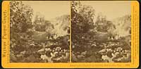1580 - Crossing the Creek to the Geysers, Napa County, Cal.