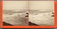 2050 - Sea Lions, West End, Farallone Islands, P.O.