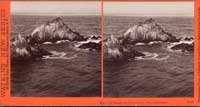 3610 - The Cliff House and Environs, San Francisco.