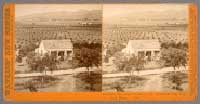 4417 - View from Lake Vinyard, B.D. Wilson's, San Gabriel, Cal.