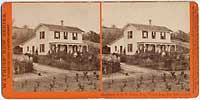 4401 - Residence of N.C. Carter, Esq., Willow Dale, San Gabriel, Cal.