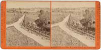 4404 - Residence of N.C. Carter, Esq., Willow Dale, San Gabriel, Cal.
