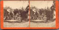 4415 - Residence of B.D. Wilson, Lake Vineyard, San Gabriel, Cal.